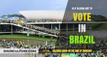 Is Abstaining from Voting in Brazil Against the Law?