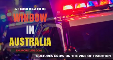 Australia's Laws on Ashing Out of Car Windows