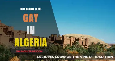 Is Being Gay Illegal in Algeria? Understanding the Legal Landscape