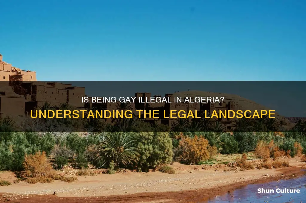 is it illegal to be gay in algeria