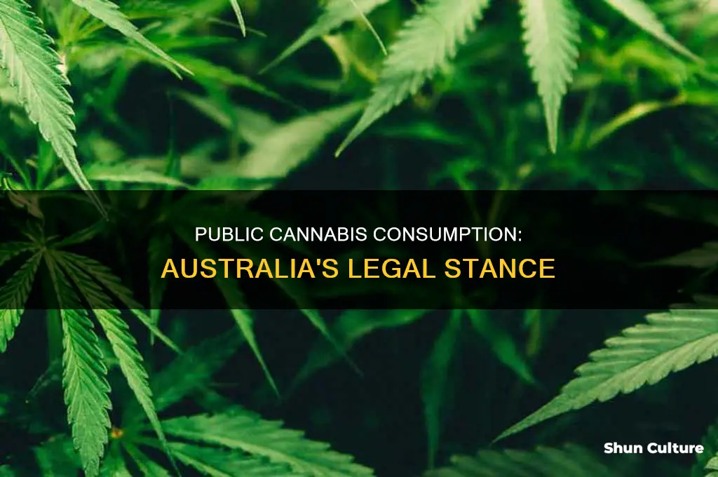 is it illegal to be high in public australia