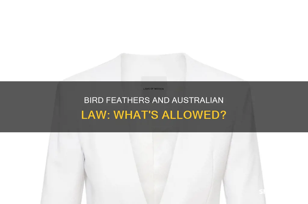 is it illegal to collect bird feathers in australia