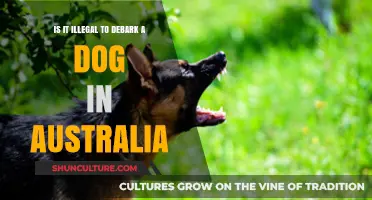 The Legality of Dog Debarking in Australia