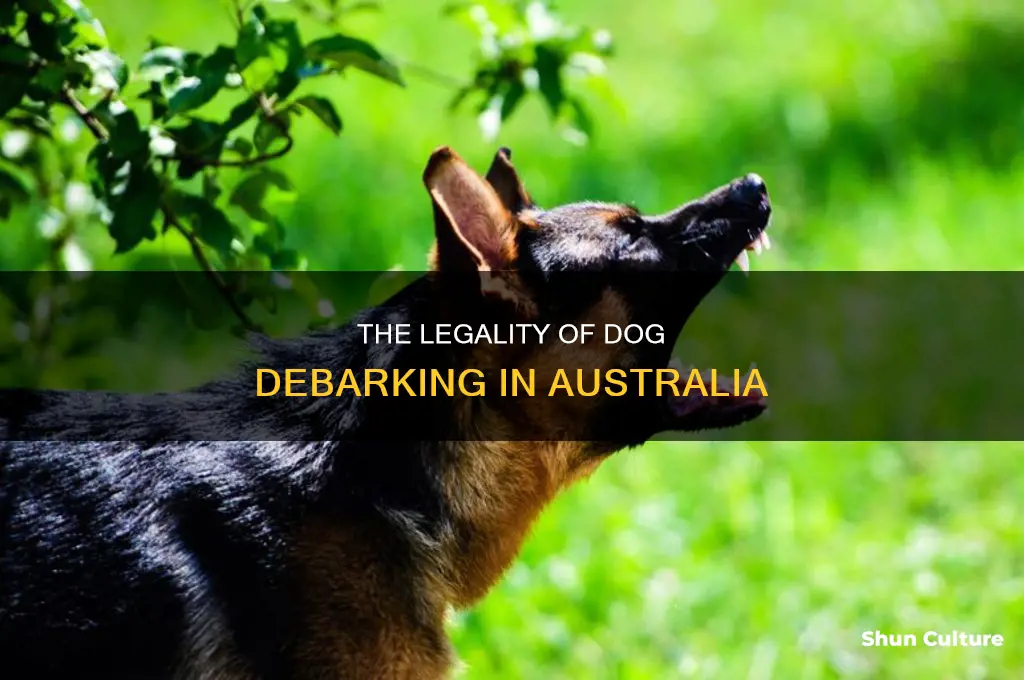 is it illegal to debark a dog in australia
