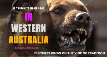 Dog Debarking: Is It Legal in Western Australia?