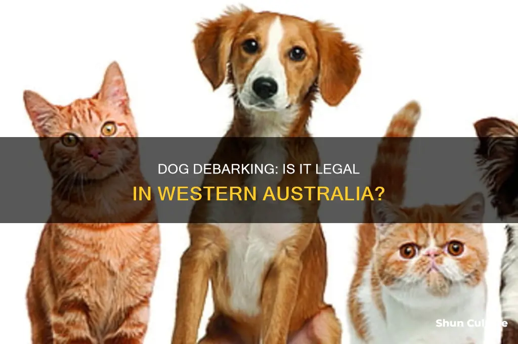 is it illegal to debark a dog in western australia