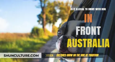 Dog Riding Shotgun: Legal in Australia?