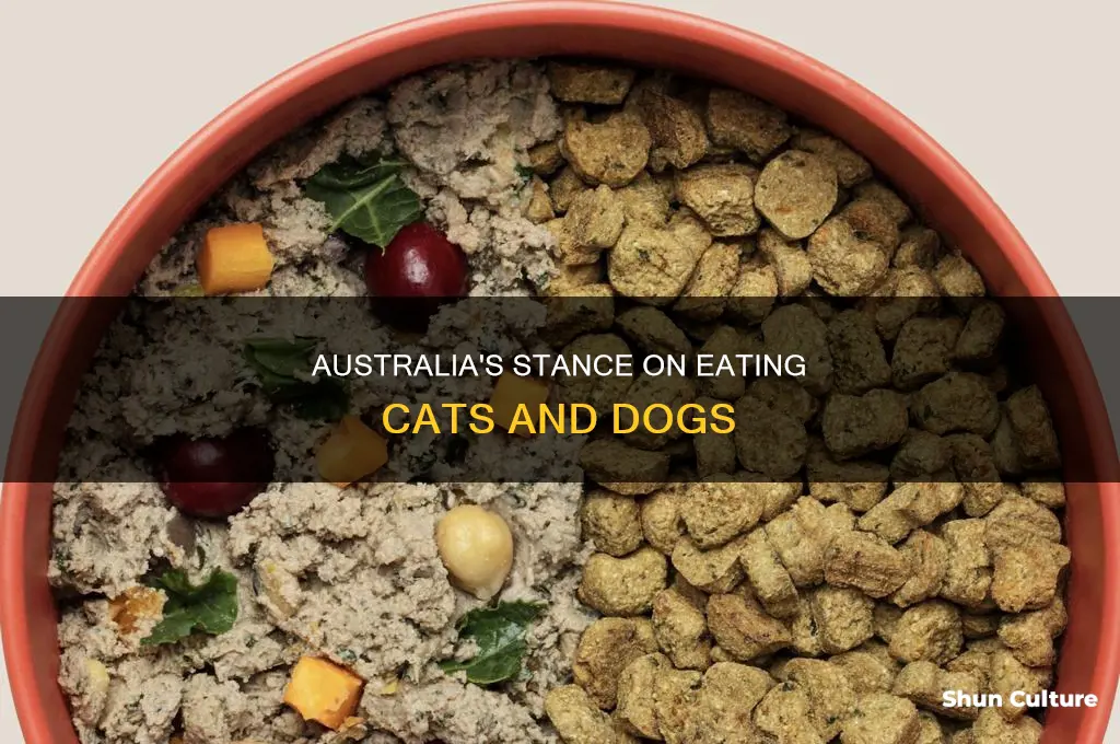 is it illegal to eat cats and dogs in australia