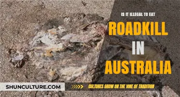 Roadkill Cuisine: Legal or Not in Australia?