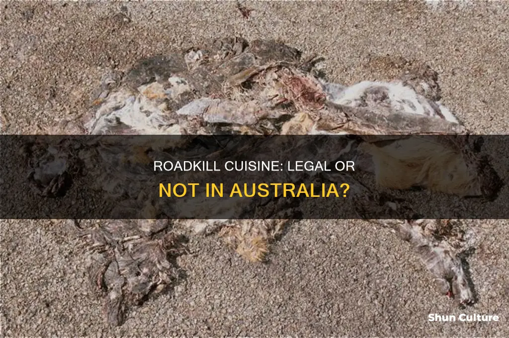is it illegal to eat roadkill in australia