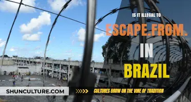 Escaping Brazilian Prisons: Legal Consequences and Criminal Penalties Explained