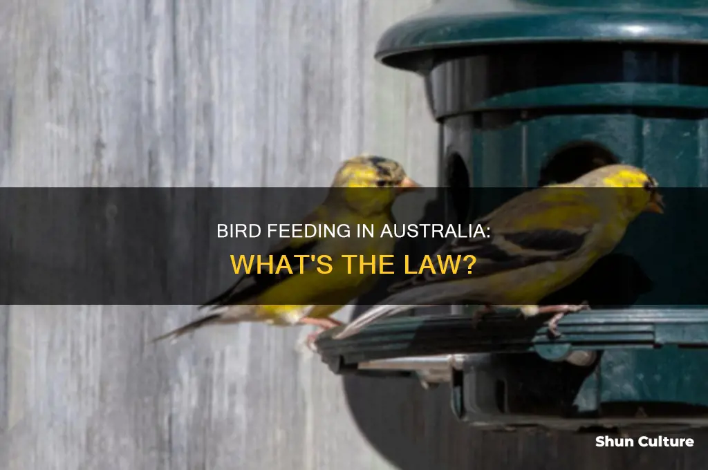 is it illegal to feed birds in australia