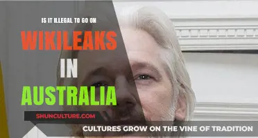 Exploring WikiLeaks Legality in Australia