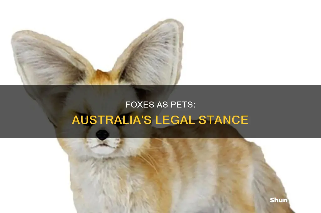 is it illegal to have a pet fox in australia