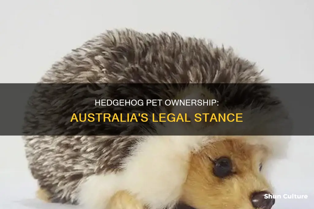 is it illegal to have a pet hedgehog in australia