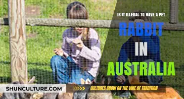 Australia's Ban on Pet Rabbits: Why Are They Illegal?