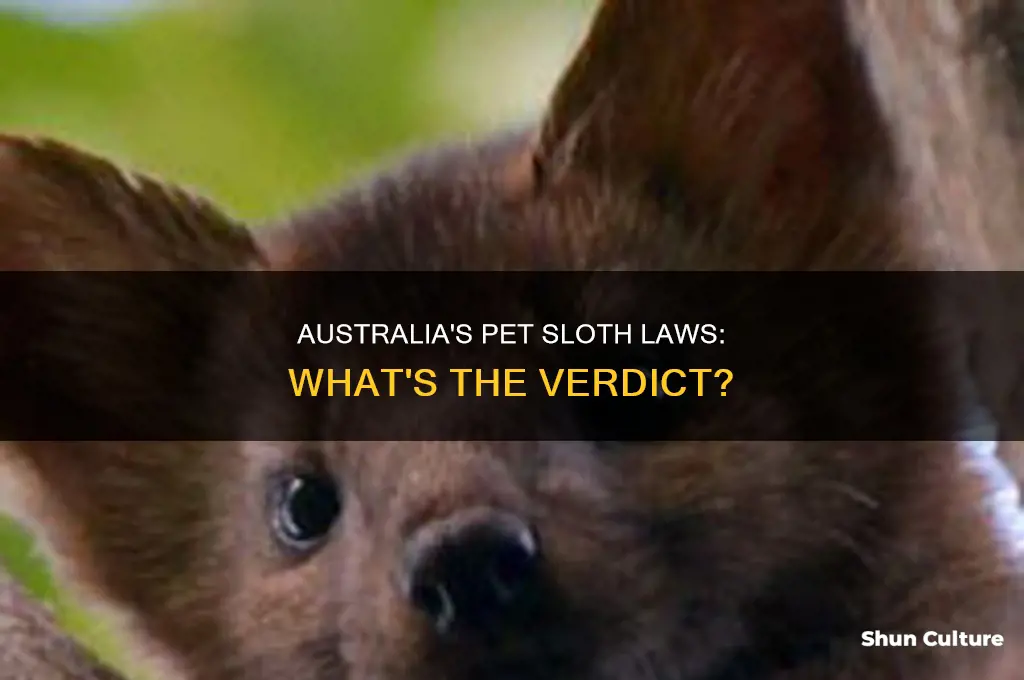 is it illegal to have a pet sloth in australia