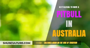 Australia's Pitbull Ban: Is It Legal?