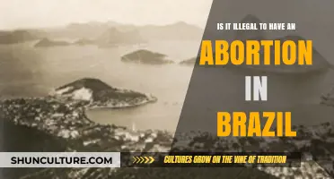 Abortion Laws in Brazil: Understanding Legal Boundaries and Restrictions