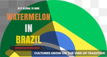 Is Owning Watermelon in Brazil Against the Law? Explained