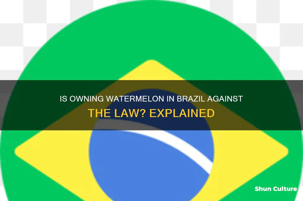 is it illegal to have watermelon in brazil