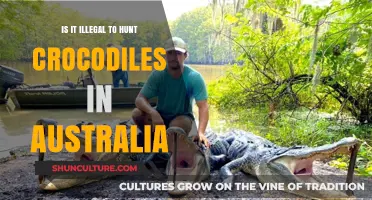 Crocodile Hunting in Australia: Is It Legal?