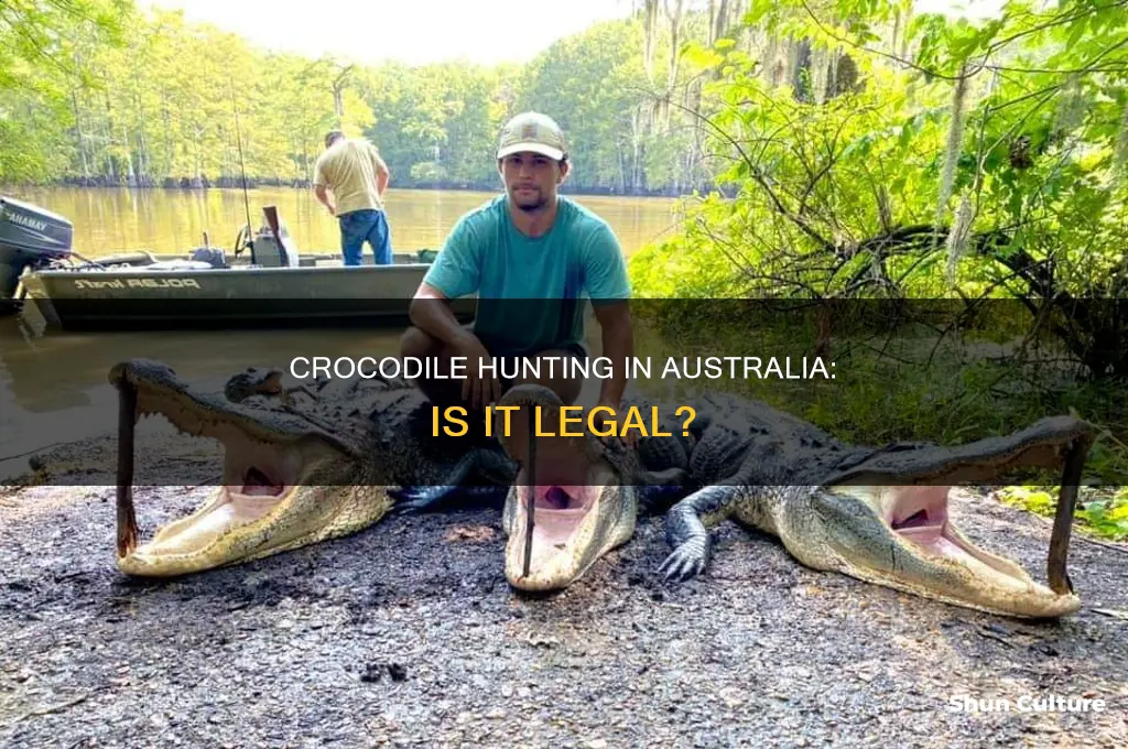 is it illegal to hunt crocodiles in australia