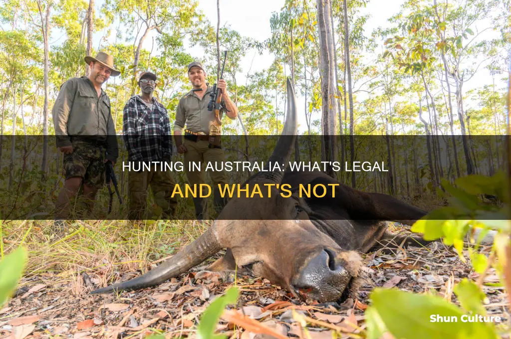 is it illegal to hunt in australia