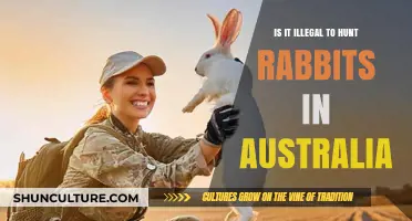 Hunting Rabbits in Australia: What's the Law?