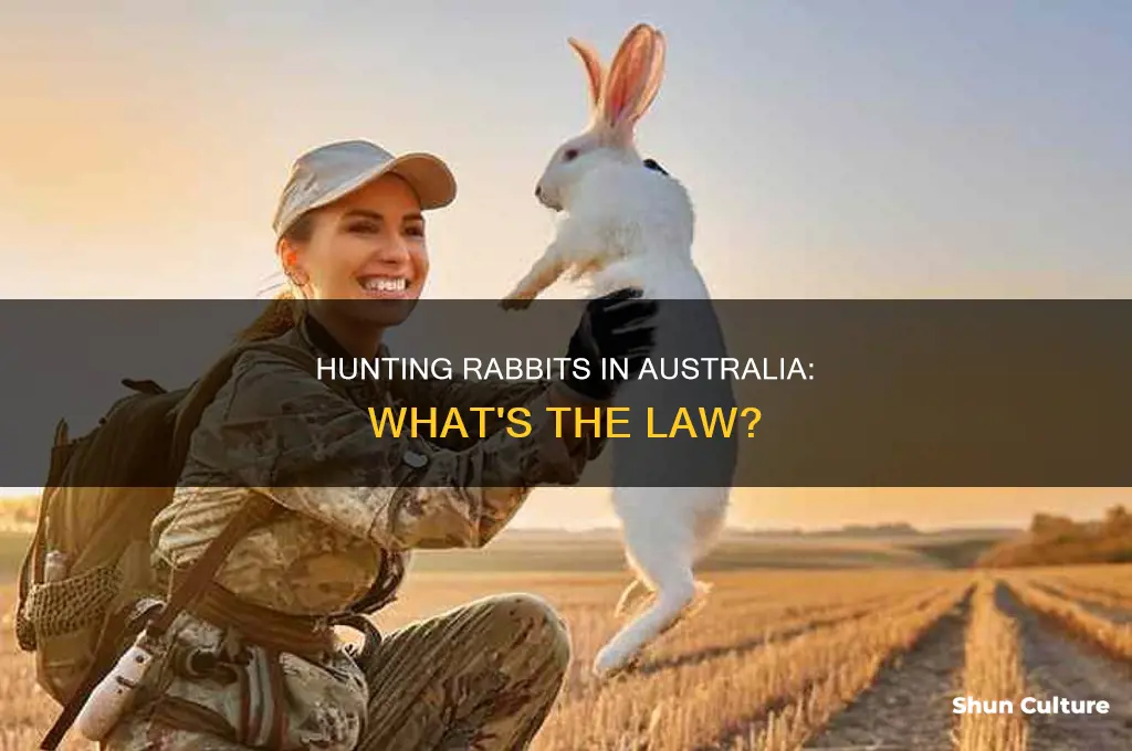 is it illegal to hunt rabbits in australia