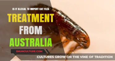 Importing Flea Treatment: Legal or Not?