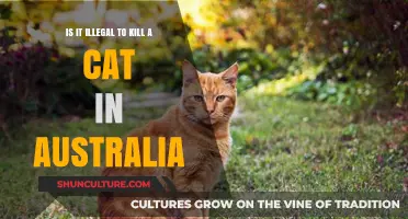 Killing Cats: Australia's Legal Stance