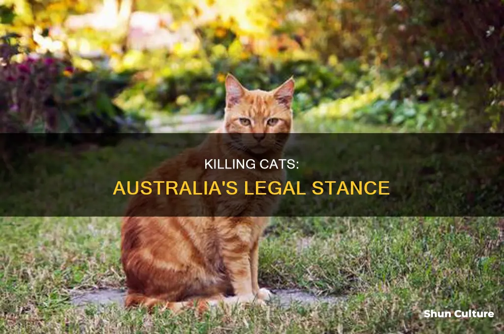 is it illegal to kill a cat in australia
