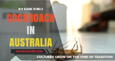 Killing Cockroaches: Australia's Legal Pest Control