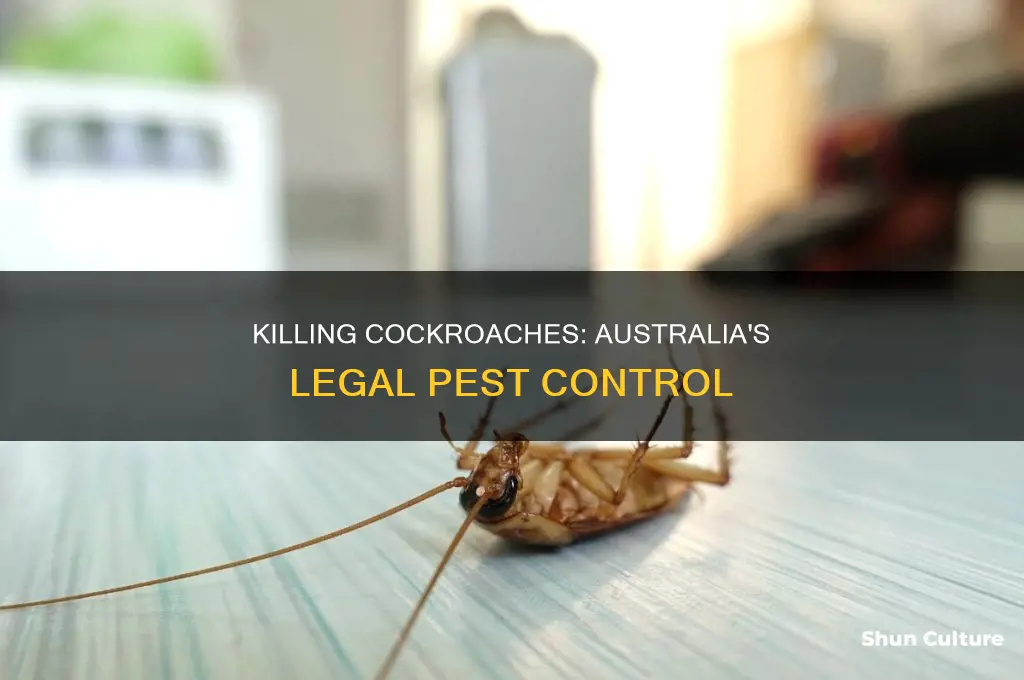 is it illegal to kill a cockroach in australia