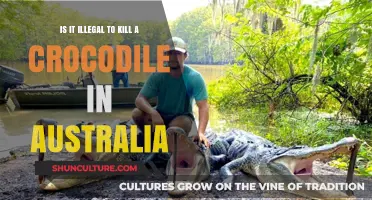 Crocodile Killing in Australia: What's the Law?
