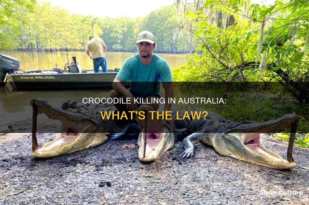 is it illegal to kill a crocodile in australia