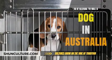 Killing Dogs: Australia's Legal Stance