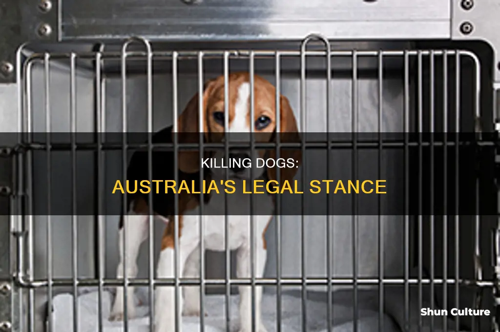 is it illegal to kill a dog in australia