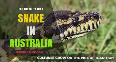 Snake Killing in Australia: What's the Law?