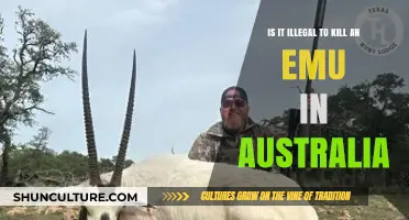 Killing Emus in Australia: What's the Law?