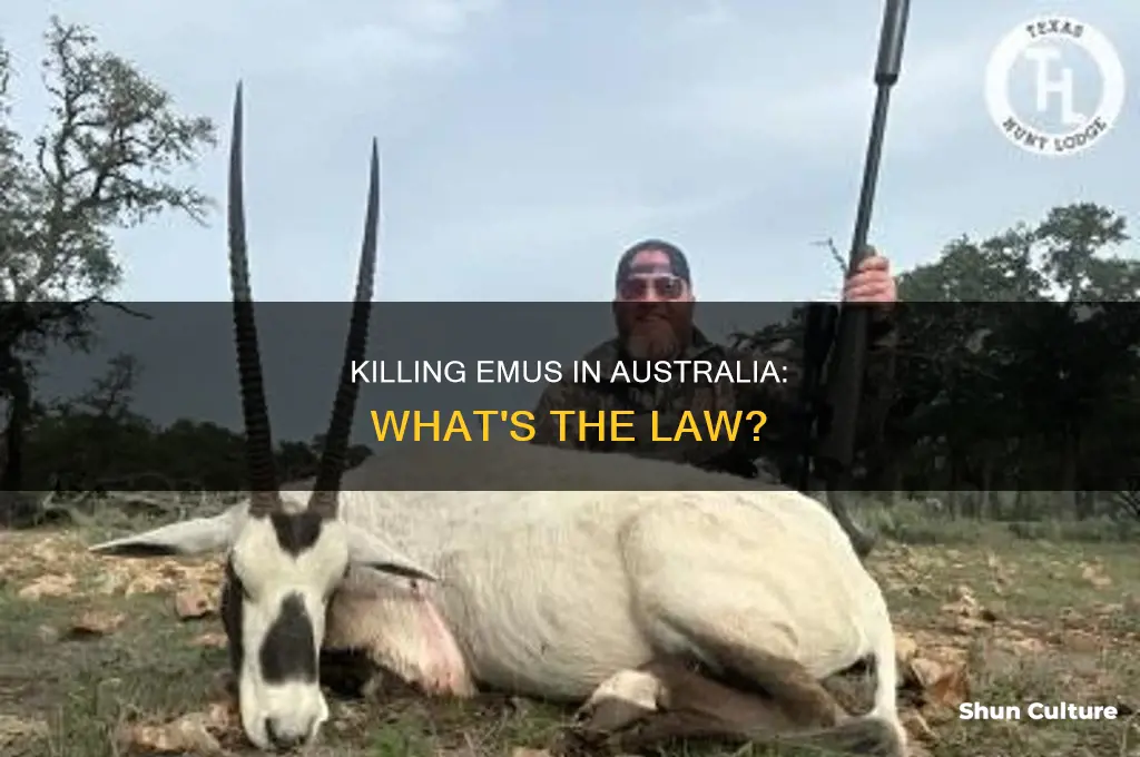 is it illegal to kill an emu in australia