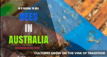 Bee-ware: Australia's Laws on Killing Bees