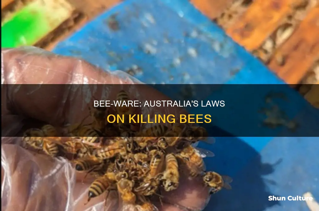 is it illegal to kill bees in australia