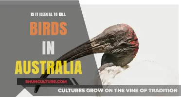 Killing Birds: Australia's Legal Take