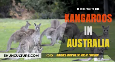 Is Killing Kangaroos in Australia Legal? Understanding the Laws and Ethics