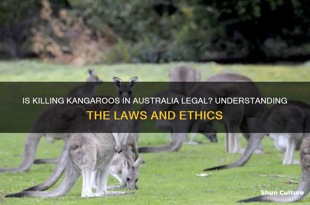 is it illegal to kill kangaroos in australia