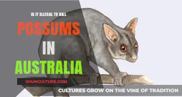 Killing Possums: Australia's Legal Take