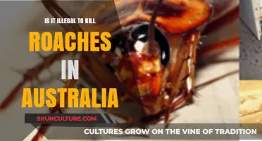 Is Killing Cockroaches in Australia Against the Law? Find Out
