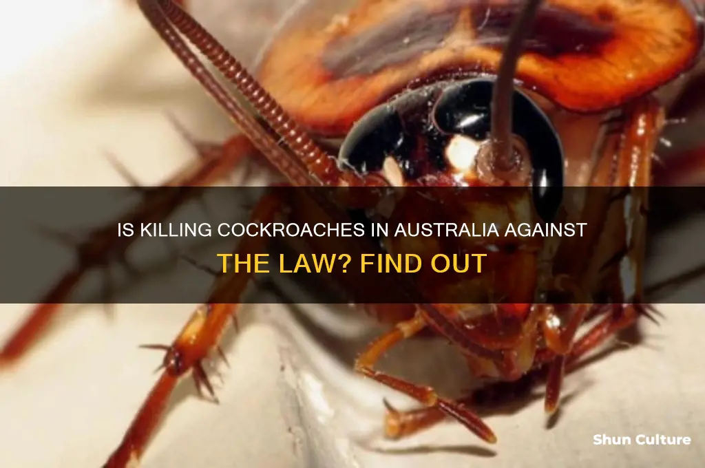 is it illegal to kill roaches in australia